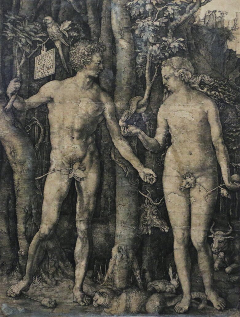 Albrecht Dürer. Rycina z wyobrażeniem Adama i Ewy. 1504. Grafika na wystawie w Muzeum Narodowym. Fot. Jerzy S. Majewski